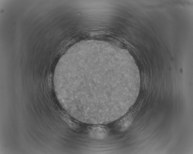 X0000067470475200605051652