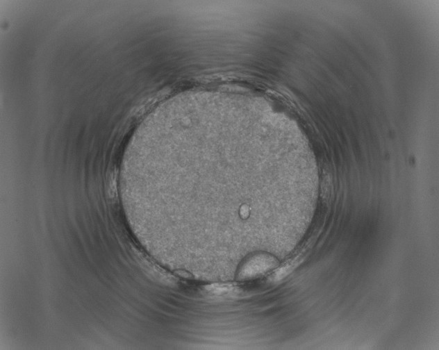 X0000067470477200605051652