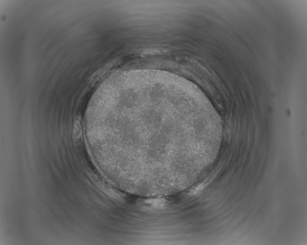 X0000067470478200605051652