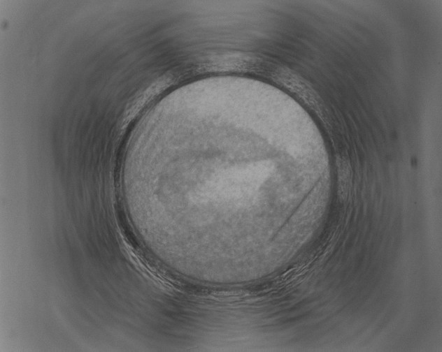 X0000067470482200605051651