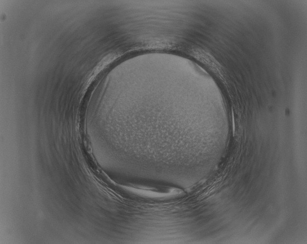 X0000067470483200605051651