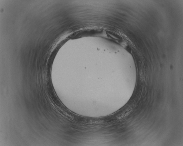 X0000067470484200605051651