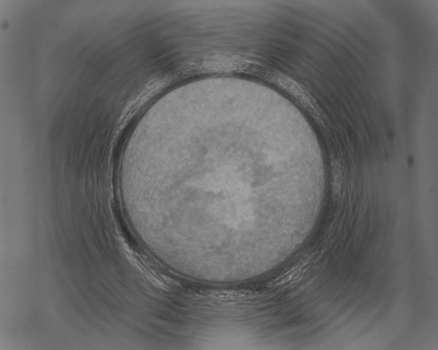 X0000067470486200605051651