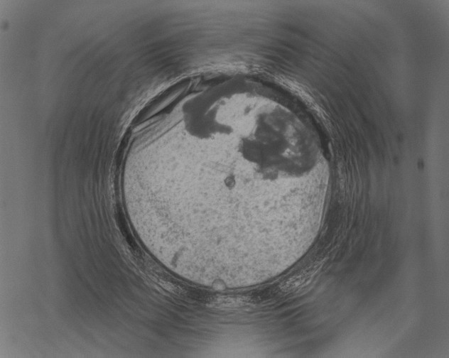 X0000067470487200605051651