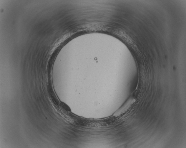 X0000067470488200605051651