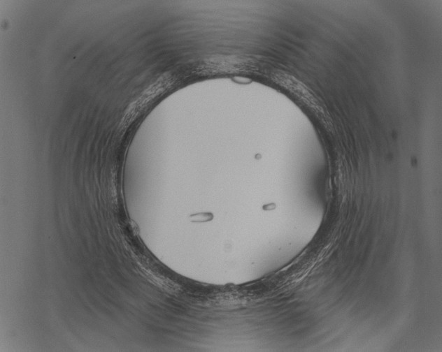 X0000067470489200605051651