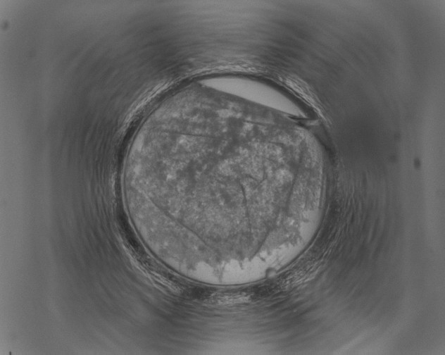 X0000067470491200605051651