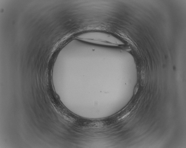 X0000067470492200605051651