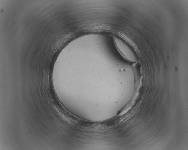 X0000067470493200605051651