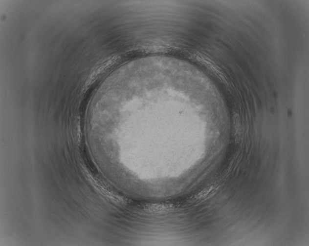 X0000067470494200605051651