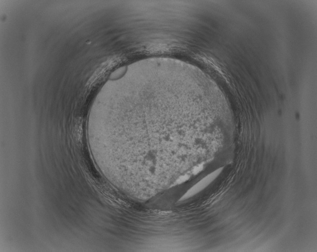 X0000067470495200605051651