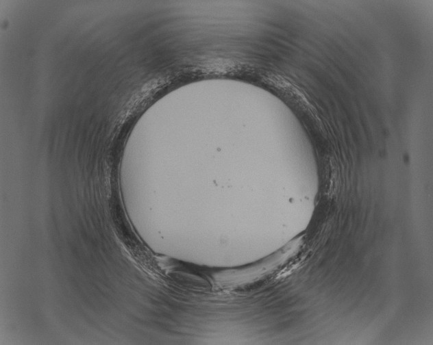 X0000067470496200605051651