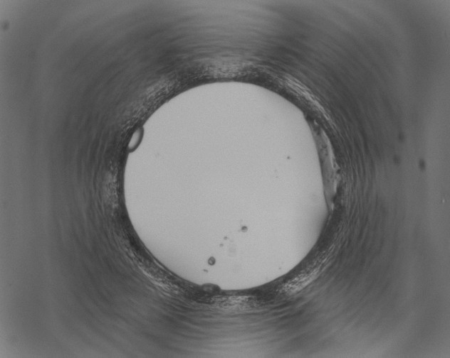 X0000067470497200605051651