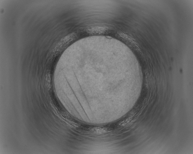 X0000067470498200605051651