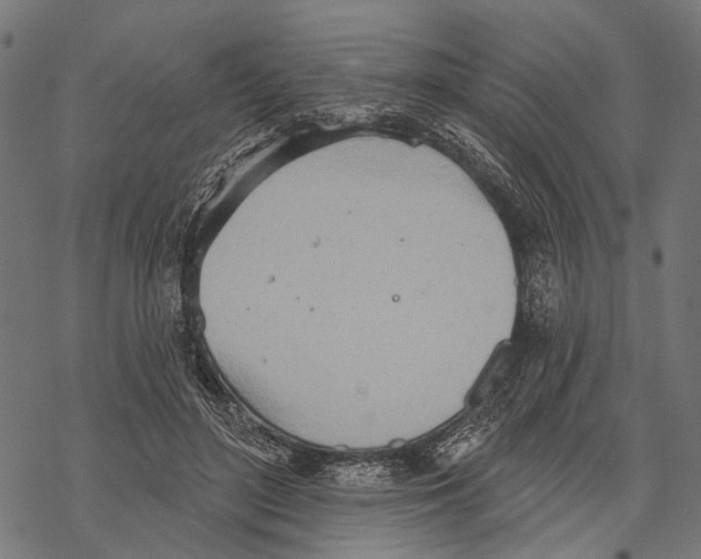 X0000067470500200605051650