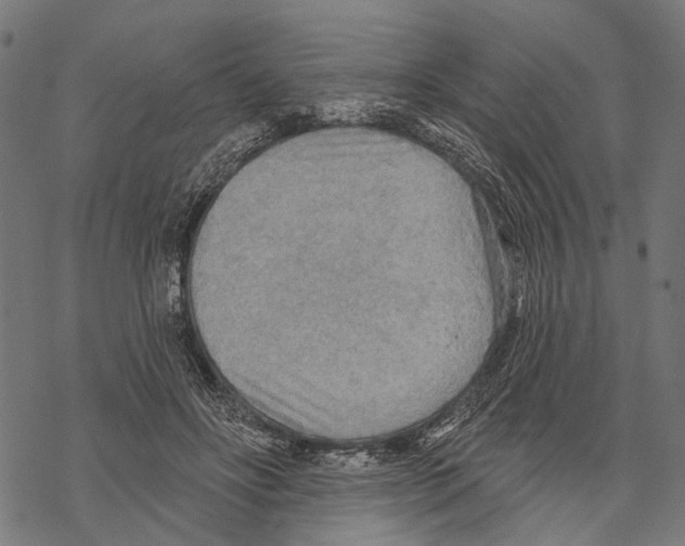 X0000067470502200605051650