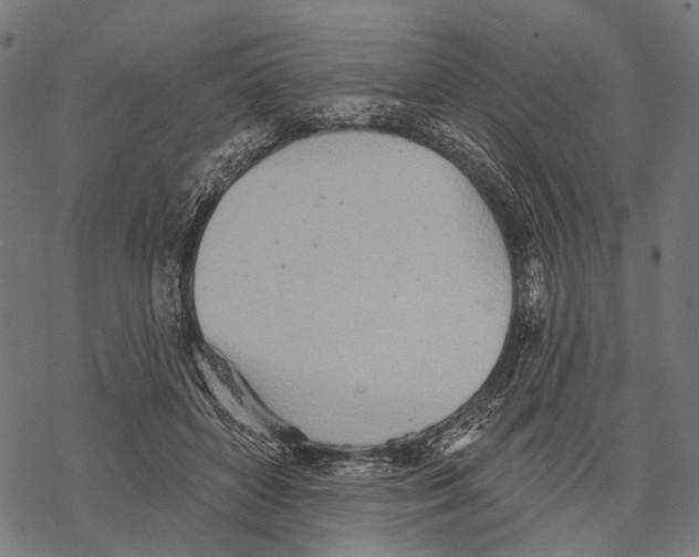 X0000067470504200605051650