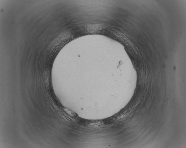 X0000067470505200605051650