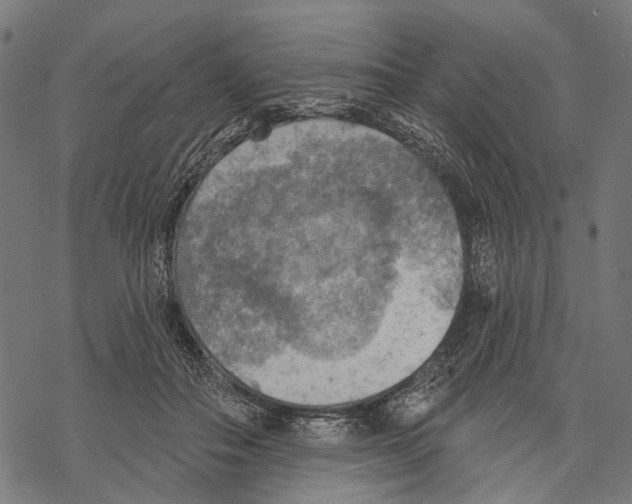 X0000067470506200605051650