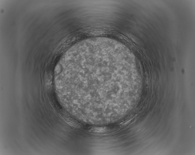 X0000067470507200605051650