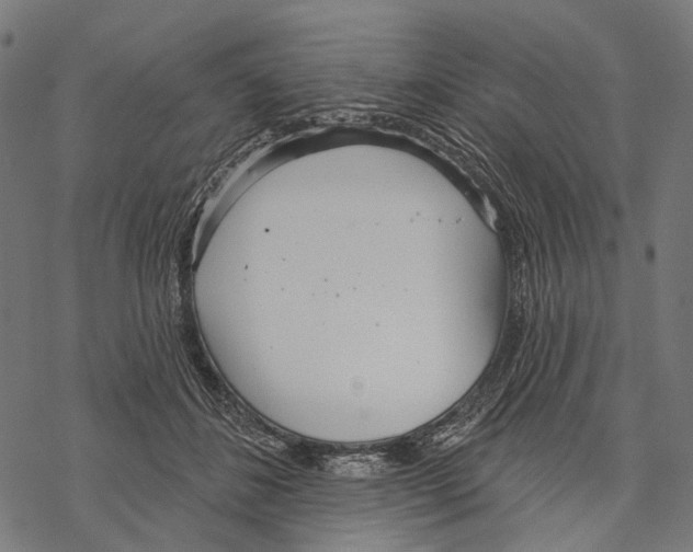 X0000067470508200605051650