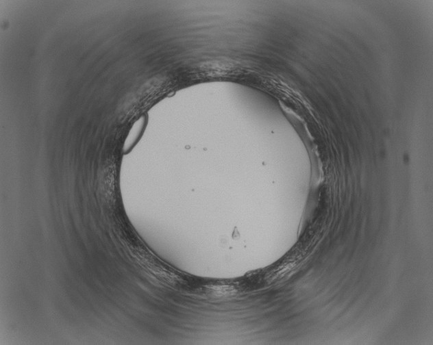 X0000067470509200605051650