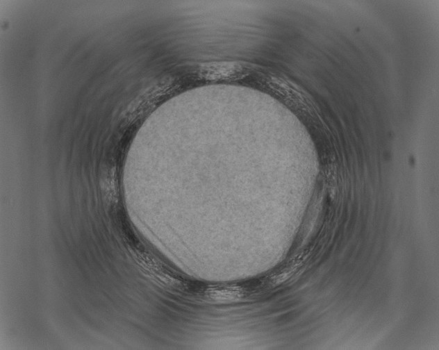 X0000067470510200605051650