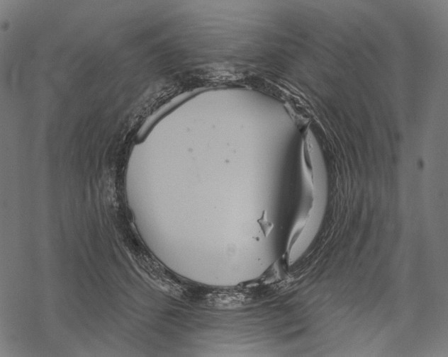 X0000067470512200605051650