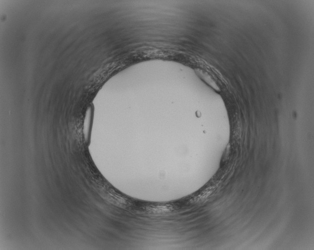 X0000067470513200605051650