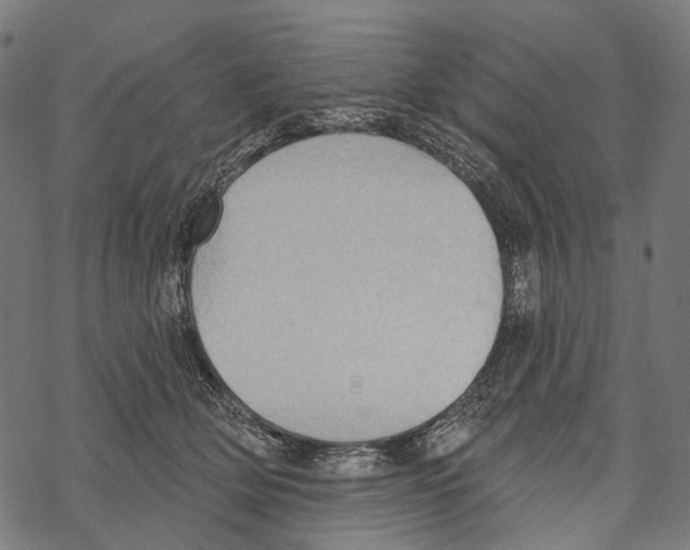 X0000067470514200605051650