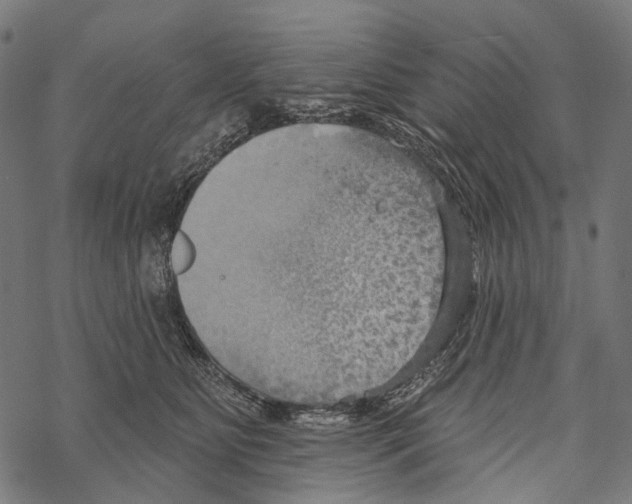 X0000067470515200605051650