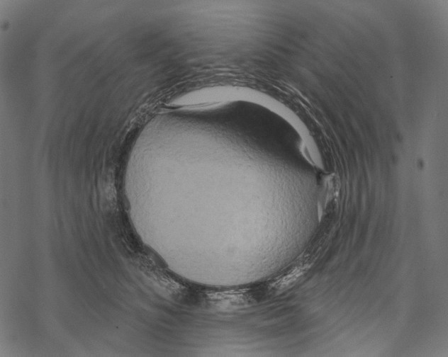 X0000067470516200605051650