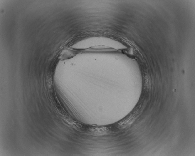 X0000067470517200605051650