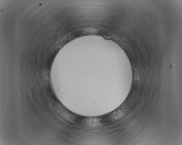 X0000067470518200605051650