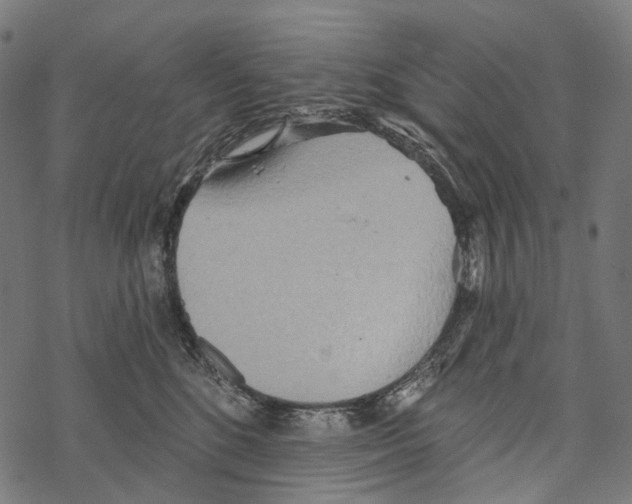 X0000067470520200605051650