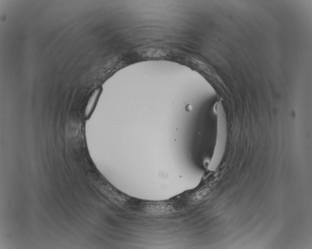 X0000067470521200605051650