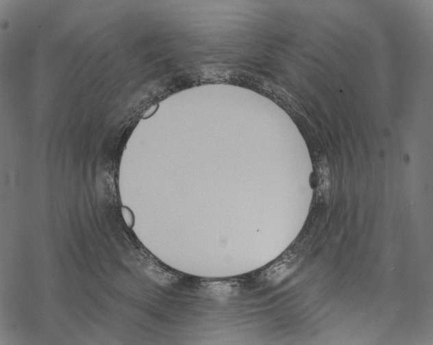 X0000067470522200605051650