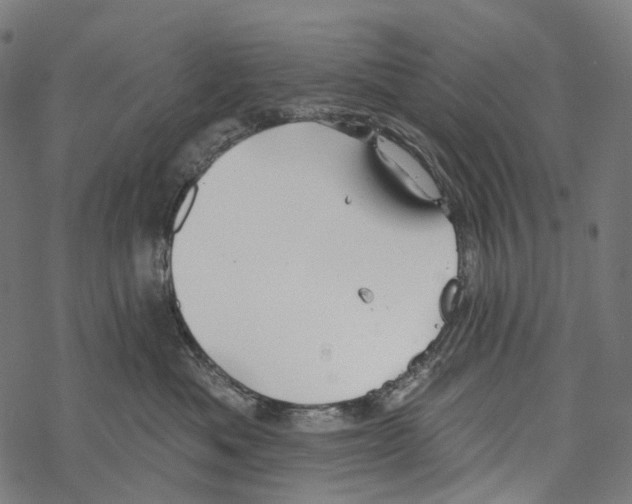 X0000067470525200605051650