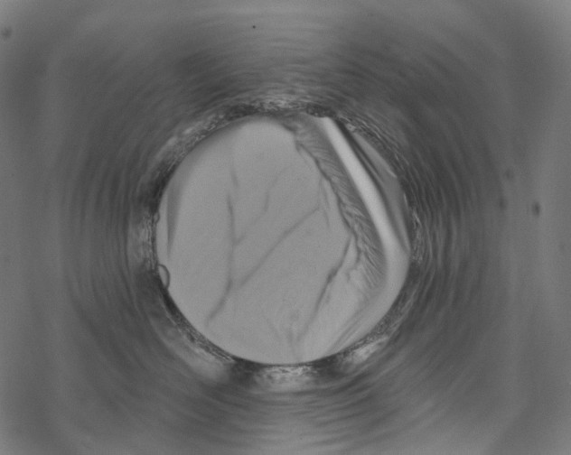 X0000067470526200605051650