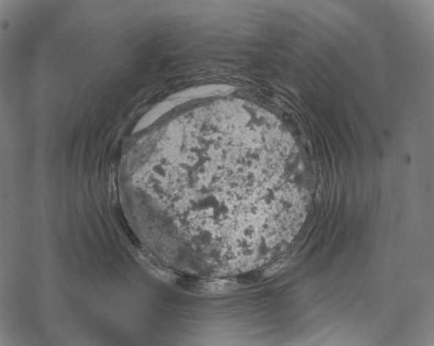 X0000067470527200605051650