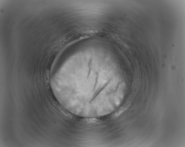 X0000067470528200605051650