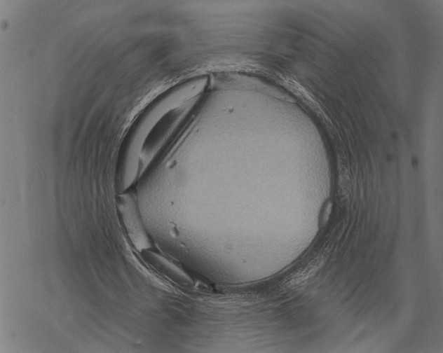 X0000067470530200605051649