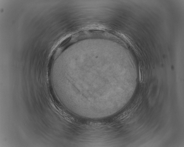 X0000067470531200605051649