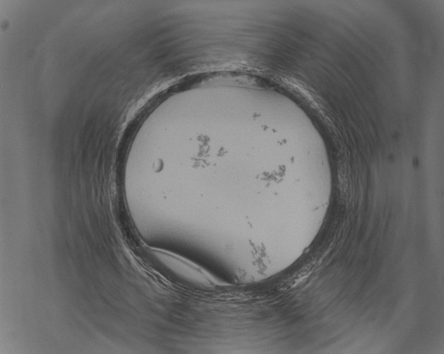 X0000067470532200605051649