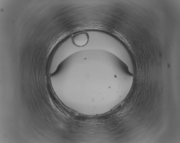 X0000067470534200605051649