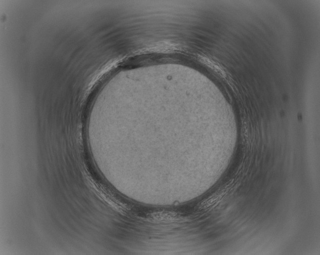 X0000067470535200605051649