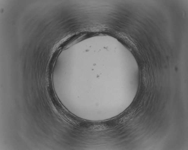 X0000067470536200605051649