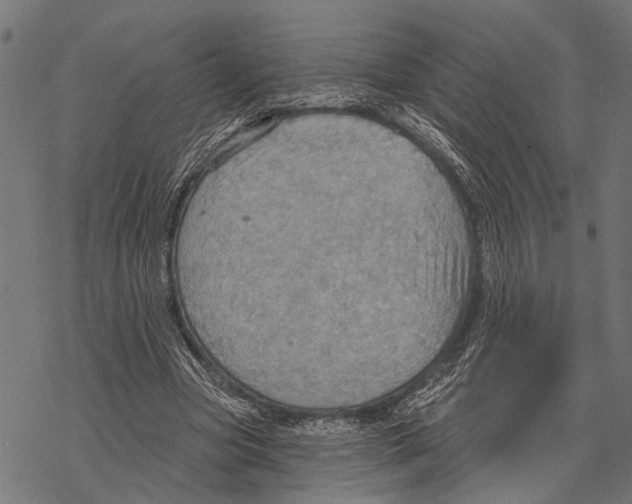 X0000067470537200605051649