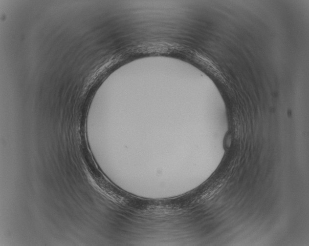 X0000067470538200605051649