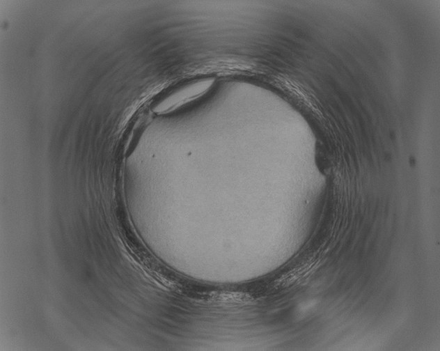 X0000067470539200605051649